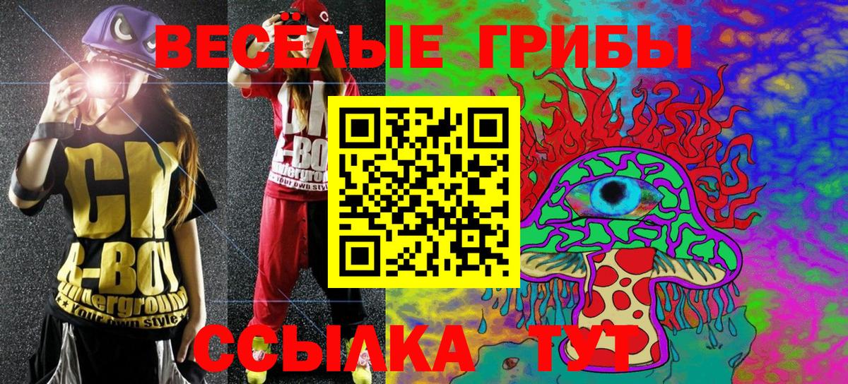 Галлюциногенные грибы Psilocybe Усть-Кут